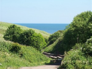 Ryhope beach