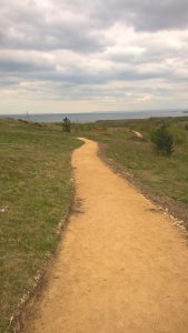 Footpath at Easington Colliery Local Nature Reserve