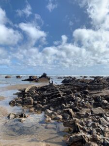 Blackhall beach showing a ship wreck