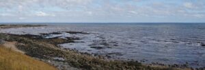 Chemical Beach Dawdon