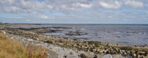 Chemical Beach Dawdon