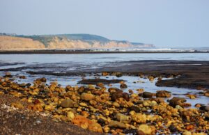 Horden Beach