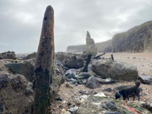 Nose's Point, Dawdon